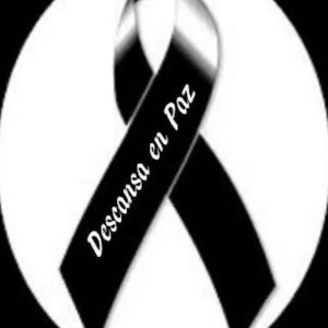 Meet your Posher, Sofia